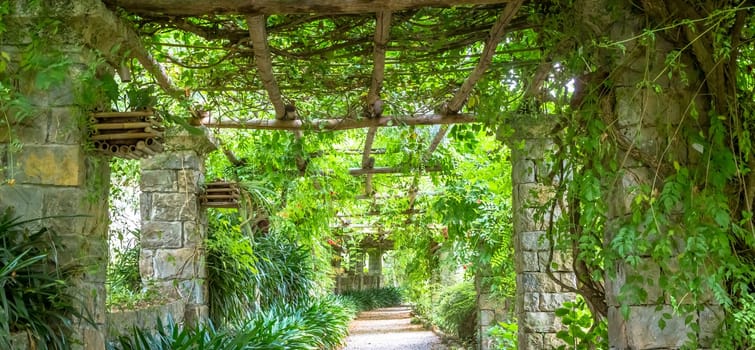 Garden with Pergola structure with bright colors during late summer season. This architecture and design have been inspired by the nature.