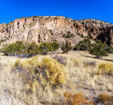 A view of the main cliff of Bandelier National Monument showing cave dwellings