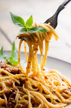 Spaghett with tomato sauce and basil on fork