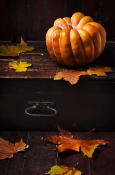 Halloween pumpkin and maple leaves