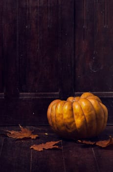 Halloween pumpkin and maple leaves