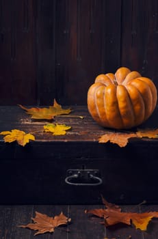 Halloween pumpkin and maple leaves