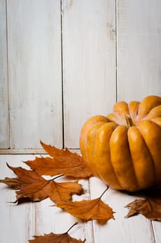 Pumpkin and maple leaves on white wooden background