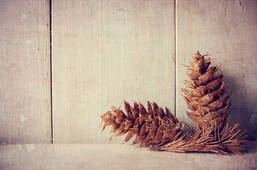 Pine cones on white rustic background with copyspace