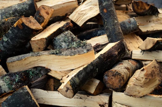 Stack of fire wood in the backyard