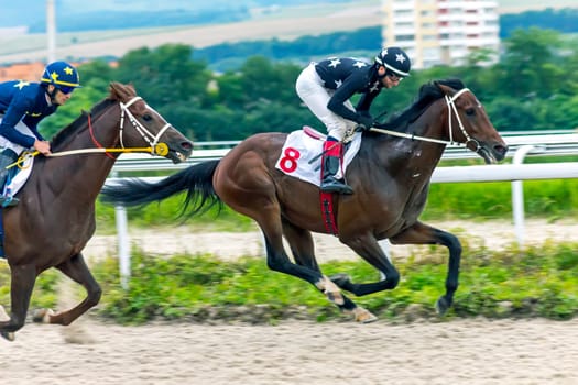 Pyatigorsk,Russia - July 24,2016: Horse race for the prize of the Derby of Pyatigorsk hippodrome,Northern Caucasus,Russia.