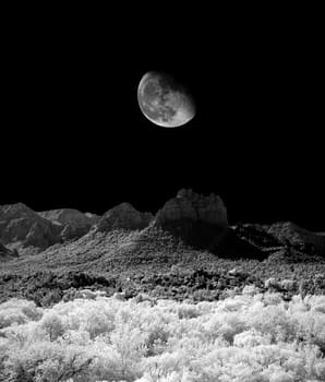 Desert moon over the southwestern USA Sonora desert and mountains