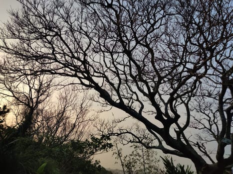 The Sunset in Taipingling Trail in the New Taipei City, Taiwan