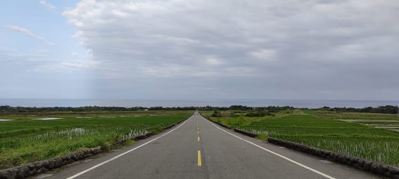 The Aerial view of beautiful terraced rice field and road .Taitung ,Taiwan.