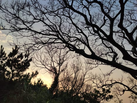 The Sunset in Taipingling Trail in the New Taipei City, Taiwan