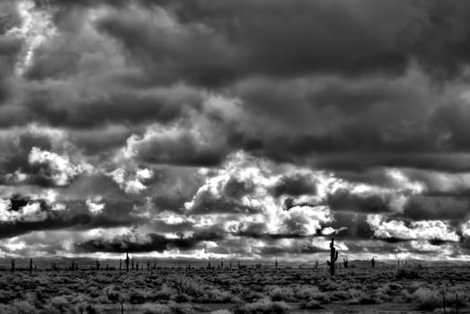 Sonora desert in Infrared central Arizona USA