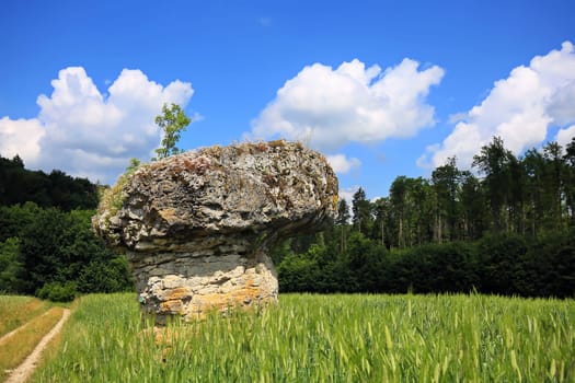 The Hoodoo Rock of Wohlmuthshüll
