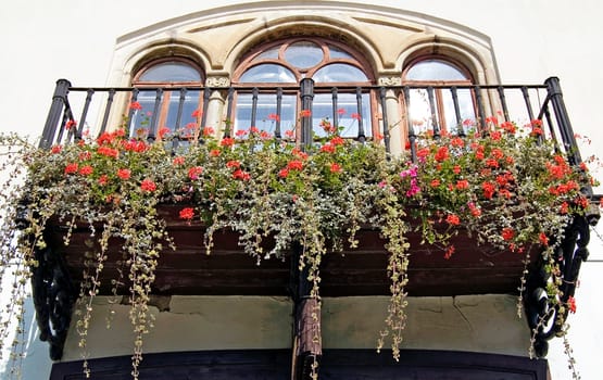 Balcony with flowers and plants