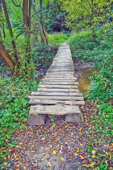 Wooden bridge