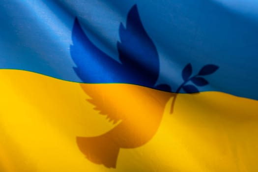Calling for peace in Ukraine. Dove with Ukraine flag as a symbol of peace.