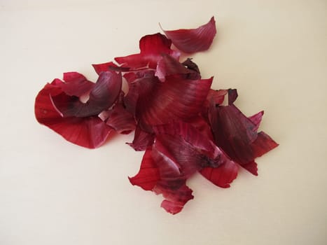 Red onion peel for tea, for dyeing Easter eggs or as plant fertilizer