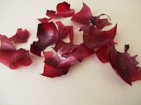Red onion peel for tea, for dyeing Easter eggs or as plant fertilizer