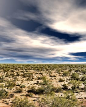 The Sonora desert in central Arizona USA