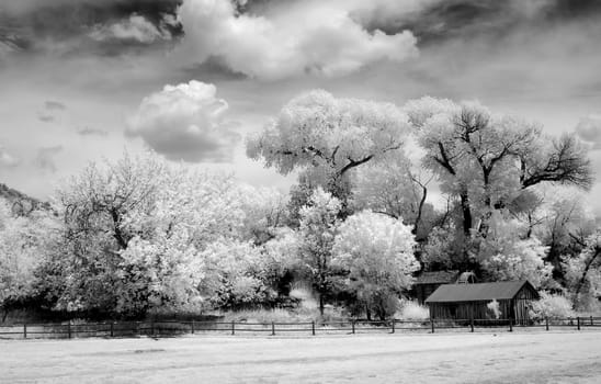 Infrared Black and white country mountains surrounding Sedona Arizona