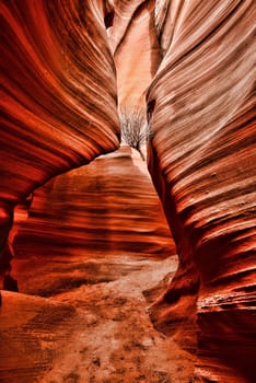 Sunlight coming into Rattlesnake Canyon on the Navajo Indian reservation in Northern Arizona