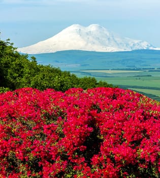 Mount Elbrus - the highest peak in Europe.