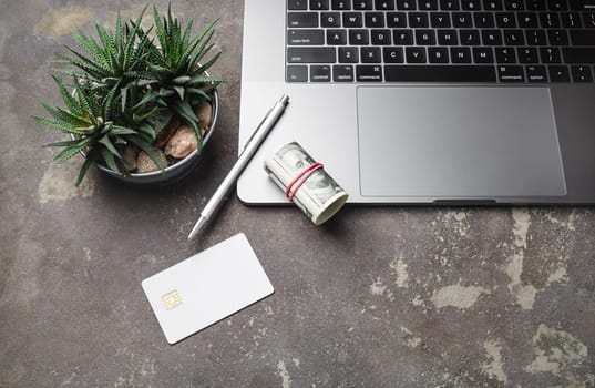 Online internet shopping concept. Laptop, dollars, credit card, pen and succulent plant on concrete background.