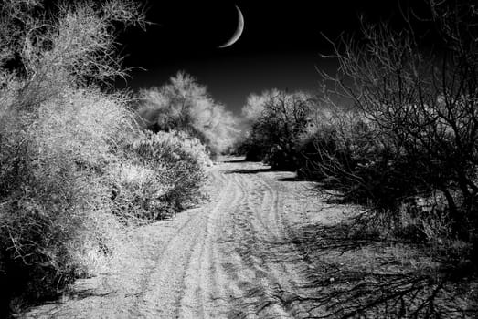 Infrared monochrome desert moon over the southwestern USA Sonora desert Arizona road