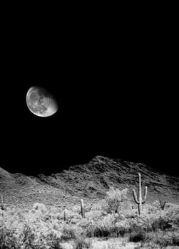 Infrared monochrome desert moon over the southwestern USA Sonora desert Arizona and mountains