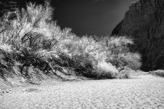 Colorado river beach in Glen Canyon Arizona