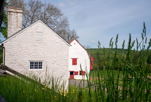 Beautiful whitewashed stone house and barn with bright red accents are seen through tall grasses and bright yellow flowers on a sunny day. Idyllic country landscape farm scene with copy space and no people.