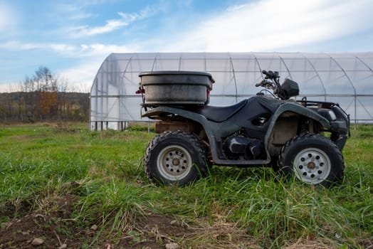 Beautiful agricultural scene with atv off road farm work vehicle with a bin strapped to the back and a green house in the background under a blue sky with white clouds. No people, shot in natural light, with copy space.