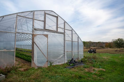 Open greenhouse door shows rows of vegetable plants inside. An off road vehicle sits by the gardens in the background. Green grass rural landscape with no people, shot in natural light, with copy space.