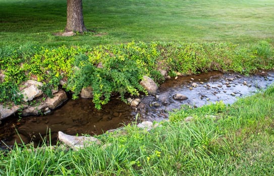 Gentla creek winds through grassy field with drooping plants and one tree with stones in the water green grass texture and gentle ripples and waves with rough stonesw and tree bark. Shot in natural light with copy space and no people.