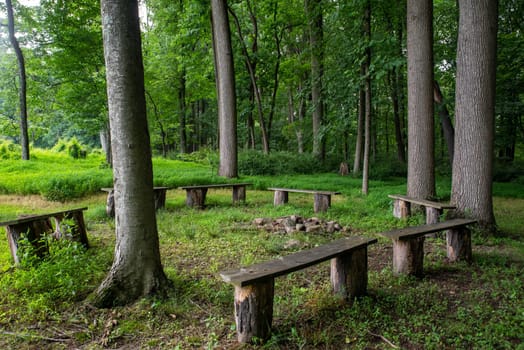 A circle of empty wooden benches under tall trees around a fire pit. Woodland background with green grass and lush foliage. Shot in natural sunlight with no people and copy space.