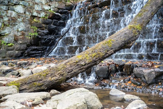 Beautiful outdoor nature scene with a fallen tree obstacle, and a cascading defocused waterfall and stone wall background. Autumn leaves are in the water and gray stones in the foreground