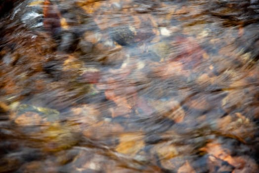 Beautiful nature background with rich colors, yellows oranges and reds, and soft texture over stones, shot in natural light with no people and copy space.