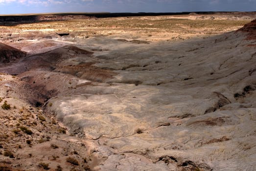Petrified forest Arizona alien desert landscape national forest