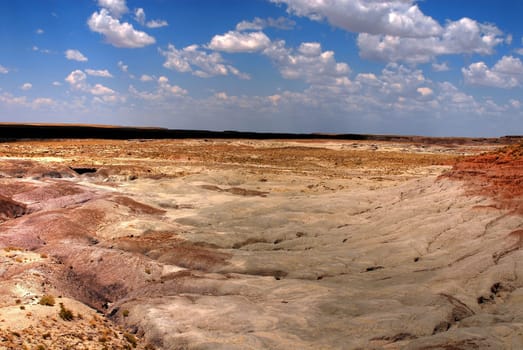 Petrified forest Arizona alien desert landscape national forest
