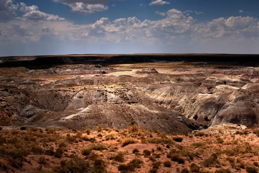 Petrified forest Arizona alien desert landscape national forest