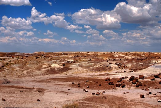 Petrified forest Arizona alien desert landscape national forest