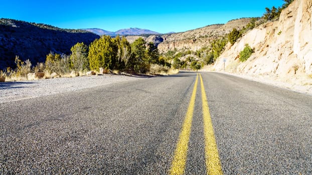 Road through the Frijoles Canyon in Bandelier National Monument, New Mexico