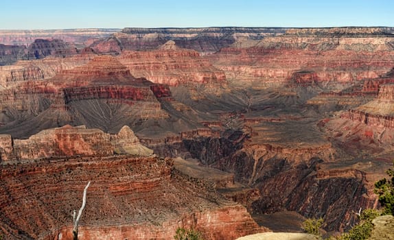 Late afternoon in the Grand Canyon Arizona and blue skies
