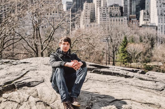 Young adult man with brown hair and beard looking at camera while sitting on a rock in central park, skyline of manhattan new york city in the background, usa, america