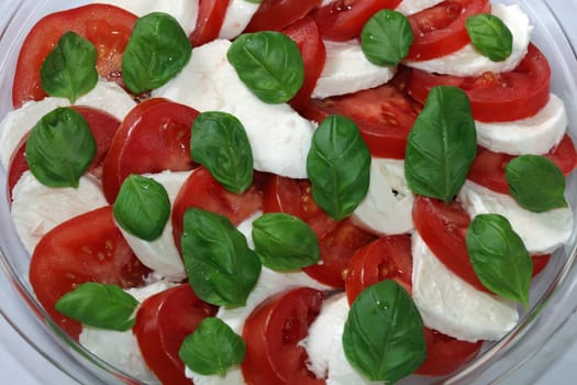 Italian Caprese Salad with Mozzarella Cheese, Tomato and Basil