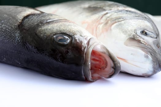 Fresh raw Sea Bass