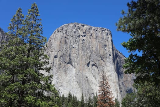 El Capitan in Yosemite National Park. California. USA