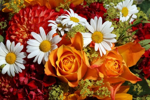 Wonderful fresh Summer Flowers