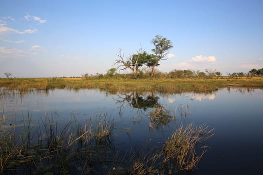 Okavango River in Namibia