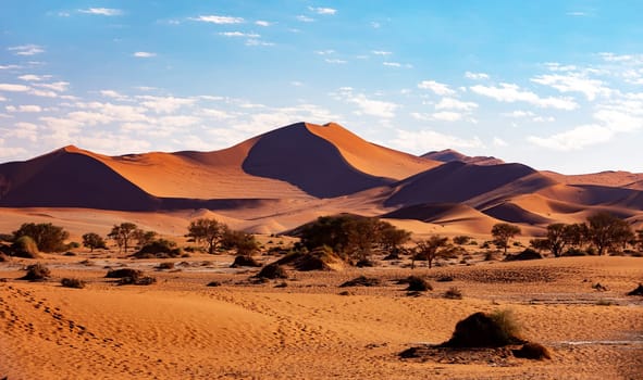 Arid dead sunrise landscape, near famous Dead Vlei in Namib desert, dune with morning sun, Namibia, Africa wilderness landscape