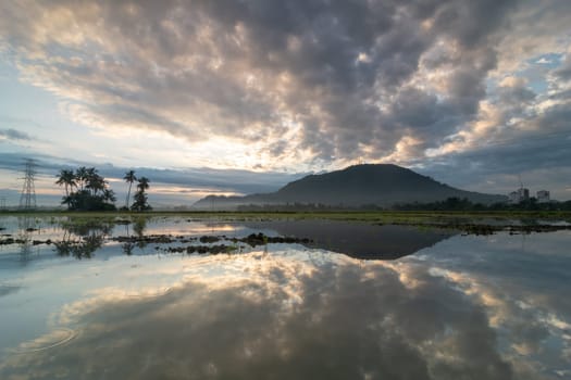 Reflection of sunrise near the coconut and hill